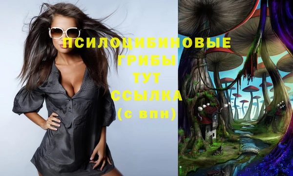 PSILOCYBIN Нея