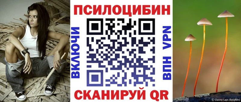 Псилоцибиновые грибы Psilocybine cubensis  Балахна 